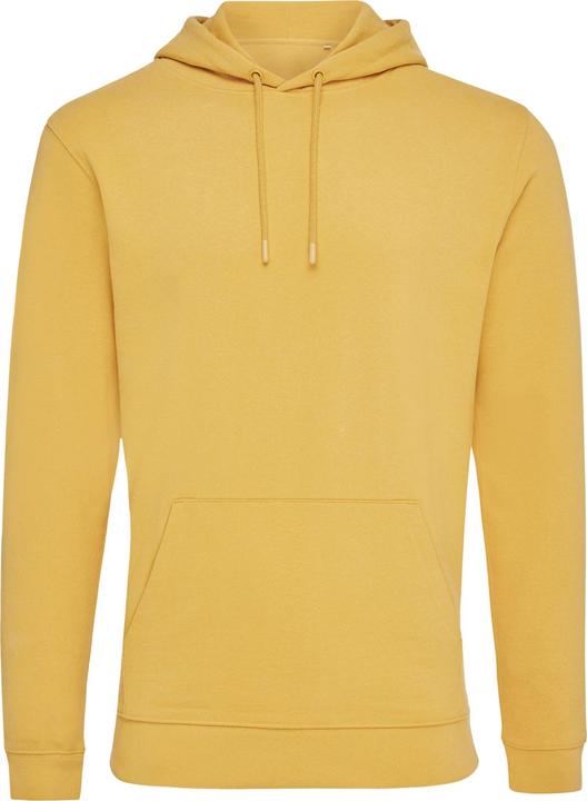 Jaune ocre