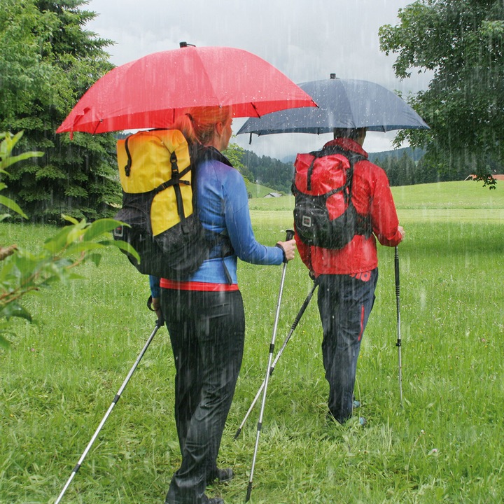 Actual product image Euroschirm Swing