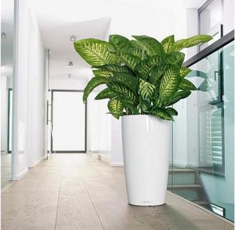 Produktbild Lechuza RONDO Premium. (32.50 x 32.50 x 56.50 cm)