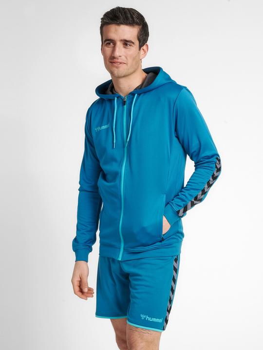 Actual product image hummel hmlAUTHENTIC Poly track jacket men (M)