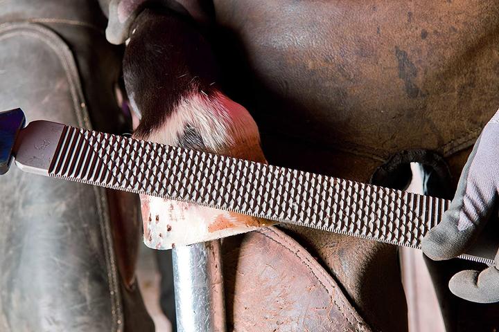 Immagine prodotto Pferd Pialla per zoccoli a testa piatta 350 mm Piallatura e lavorazione degli zoccoli (350 mm)