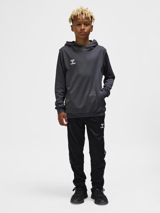 Immagine prodotto hummel Hmlauthentic Pl Hoodie Kids (116)