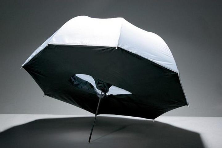 Produktbild Godox 84cm Doorschijnende Paraplu Box (Schirm, 84 cm)