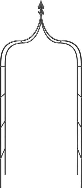 Image du produit vidaXL Gartenbogen (38 cm, 120 cm)