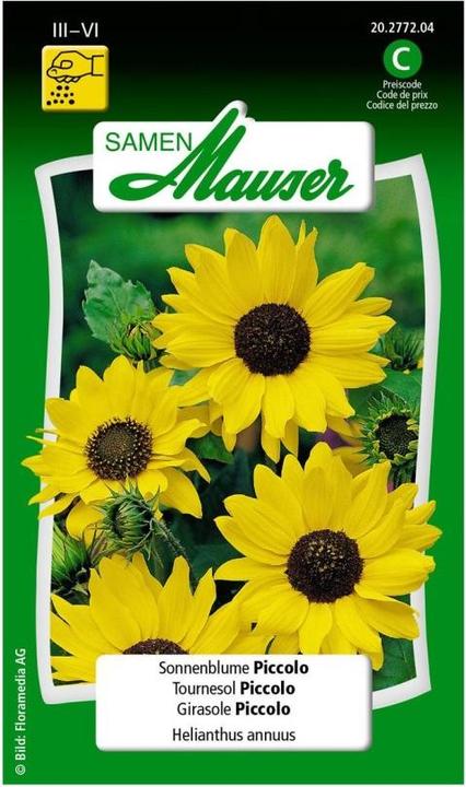 Actual product image Samen Mauser Sunflower Piccolo (Plant seeds)