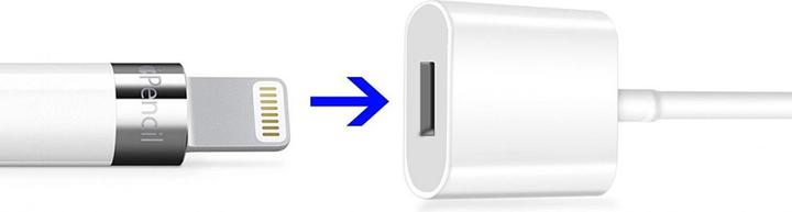 Immagine prodotto PowerGuard Cavo di ricarica USB con connettore Lightning per la stilo Apple Pencil (USB 3.2 Gen 1)