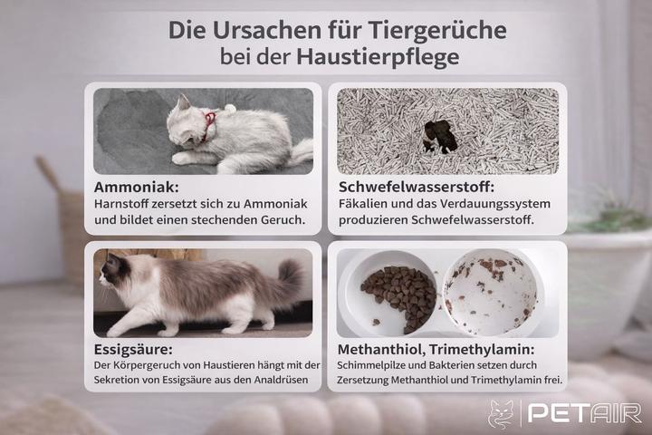 Produktbild Petair - Luftreiniger für Haustierbesitzer D1-SP201-B (40 m²)