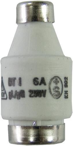 Max Hauri T Dti (6 A)