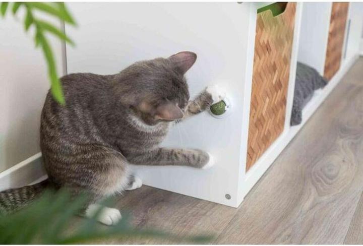 Produktbild Trixie Katzenminze Ball (Ballspielzeug Katze)