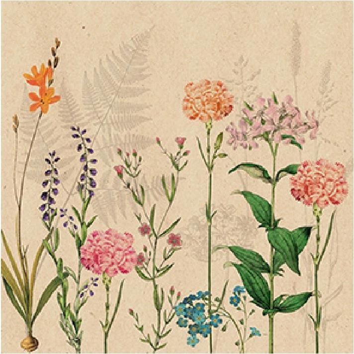 Image du produit Botanica (20 pcs, 33 x 33 cm)