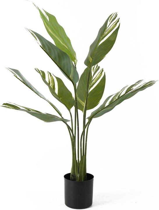 present time Kunstplant Calathea - Groen - 63x63x90cm - Modern (90 cm)