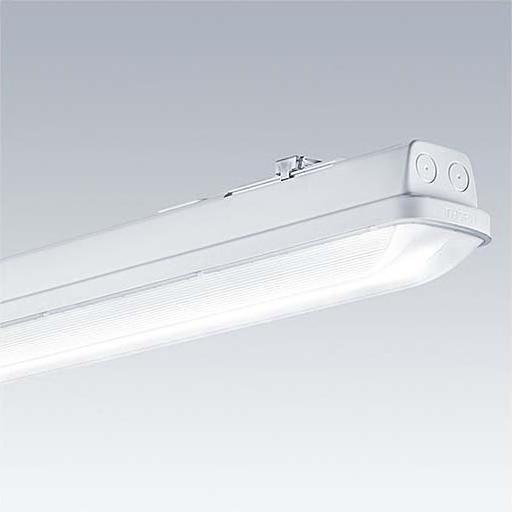 Thorn, Wandleuchte + Deckenleuchte, LED-Feuchtraumleuchte (2950 lm)