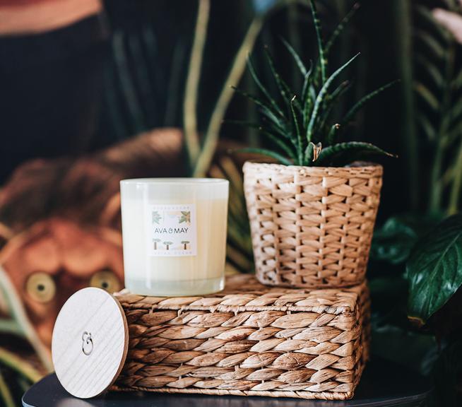 Immagine prodotto Ava & May Madagascar (500 g)