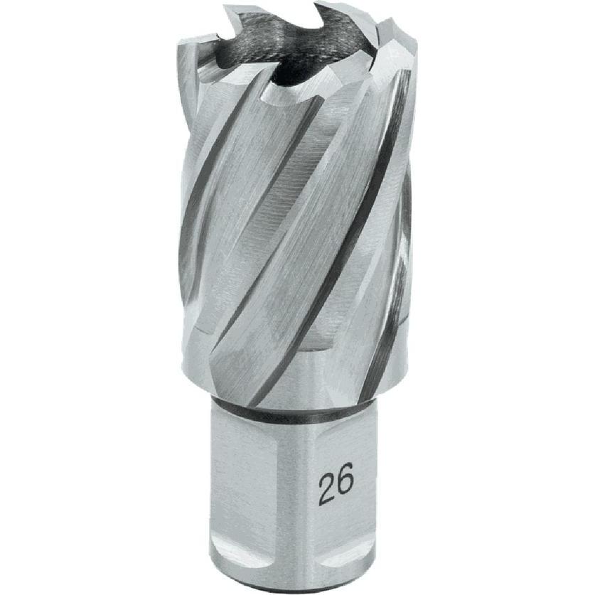 Euroboor, Sega a tazza, 21003002001004 HCS.200 Kernbohrer, HSS, D 20 mm, DoC 30 mm, Weldon (20 millimetri)