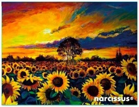 Produktbild Teka PP A6 Umschlagmappe Sonnenblumen (A6)