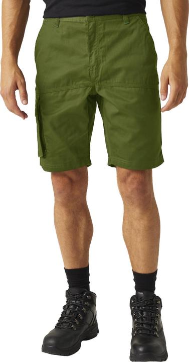 Actual product image Regatta Heroic CargoShorts (44)