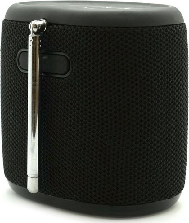 Immagine prodotto Pure Mini bosco (DAB, FM, Bluetooth)