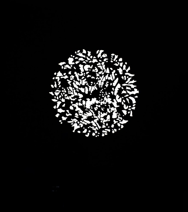 Immagine prodotto Nanlite Set gobo 2 per attacco di proiezione con montaggio FM (Vari)