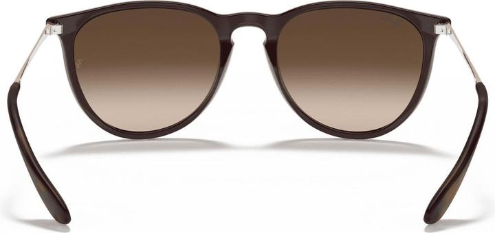 Immagine prodotto Ray Ban Erika