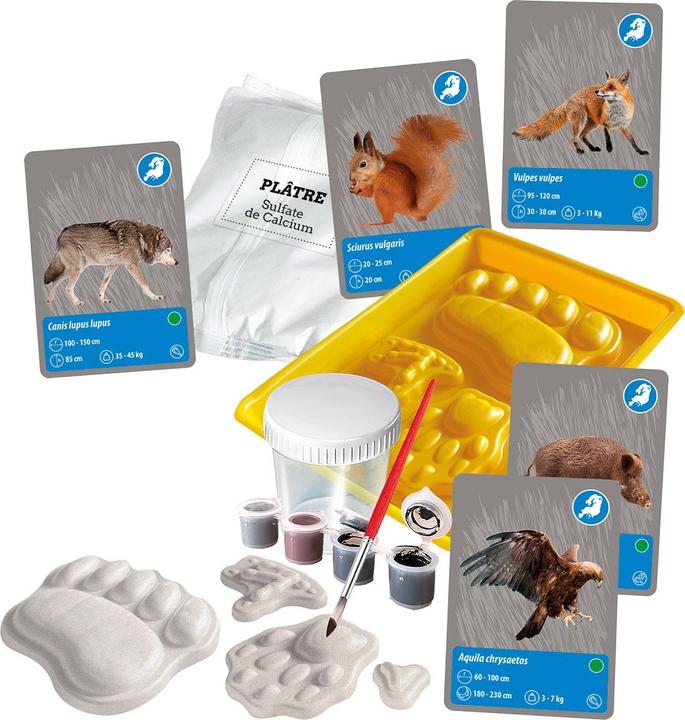 Image du produit Clementoni Kit de découverte "Les animaux de notre planète