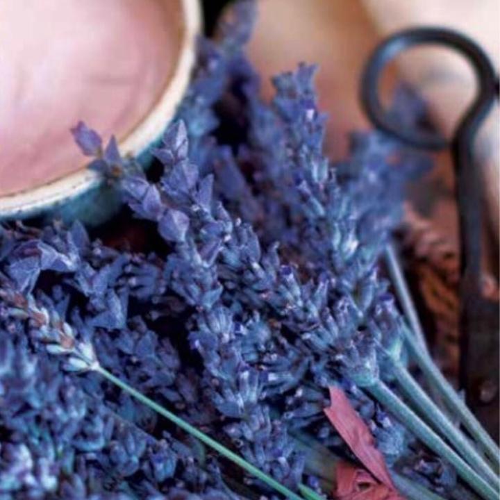 Image du produit Cuccio Skin Prebiotic Body Scrub With Lavender Oil