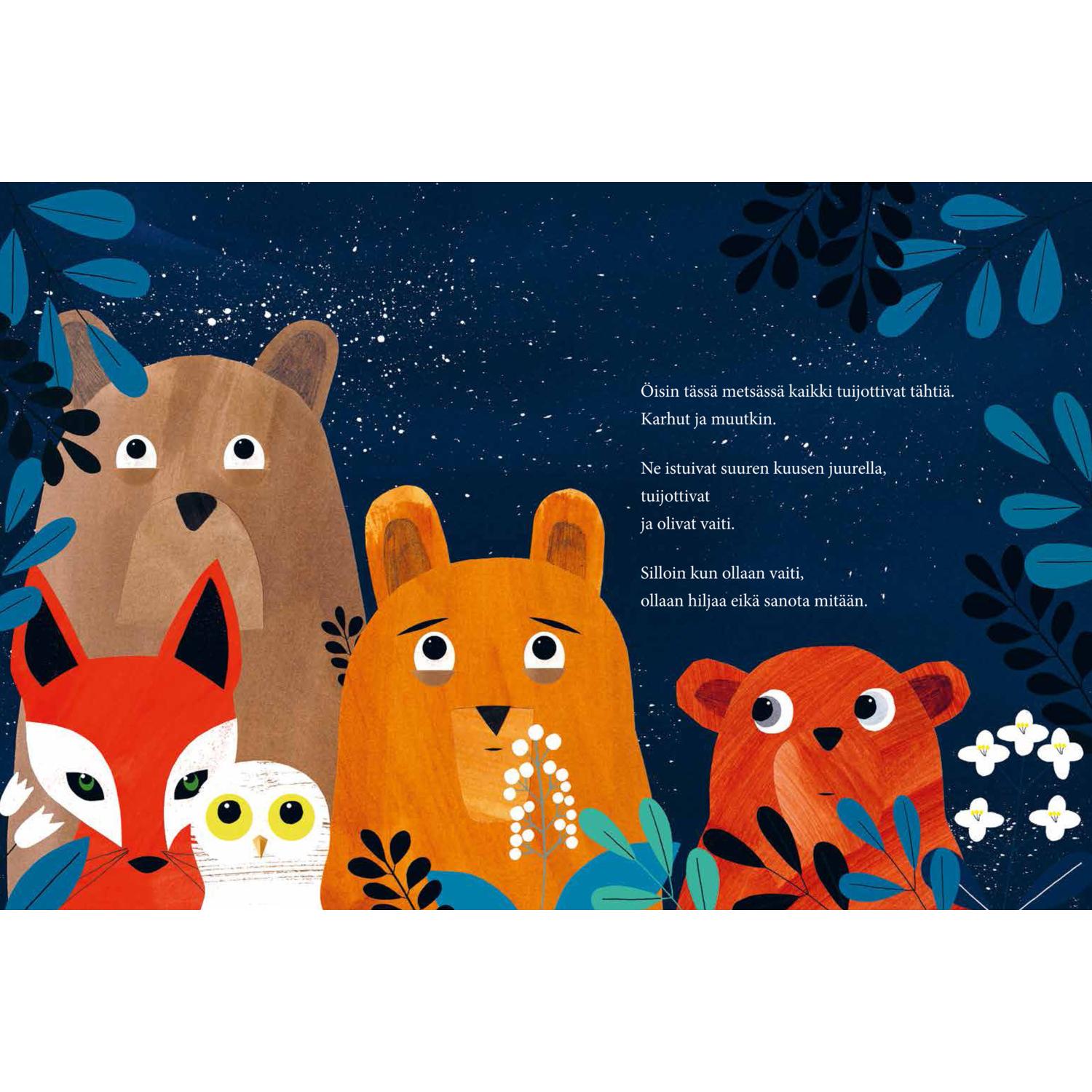 Thumbnail - MUR und der Stern, Kinderbücher von Anne Vasko, Kaisa Happonen