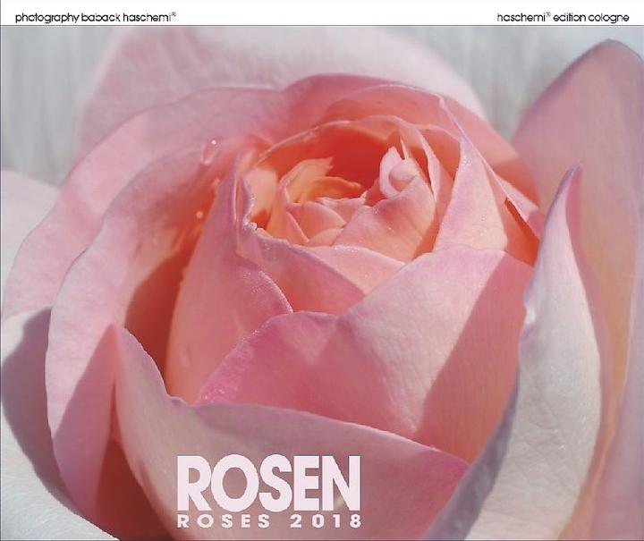 Produktbild Rosen 2019 (Spezial)