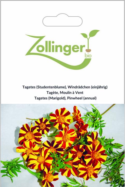 Produktbild Zollinger Bio Tagetes (Studentenblume), Windrädchen (einjährig) (Keimlinge)