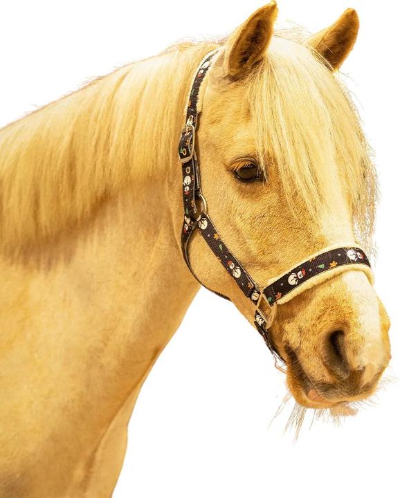 Produktbild Qhp Noël