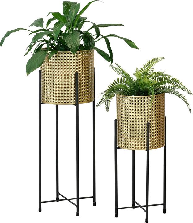 Image du produit En.Casa Mol