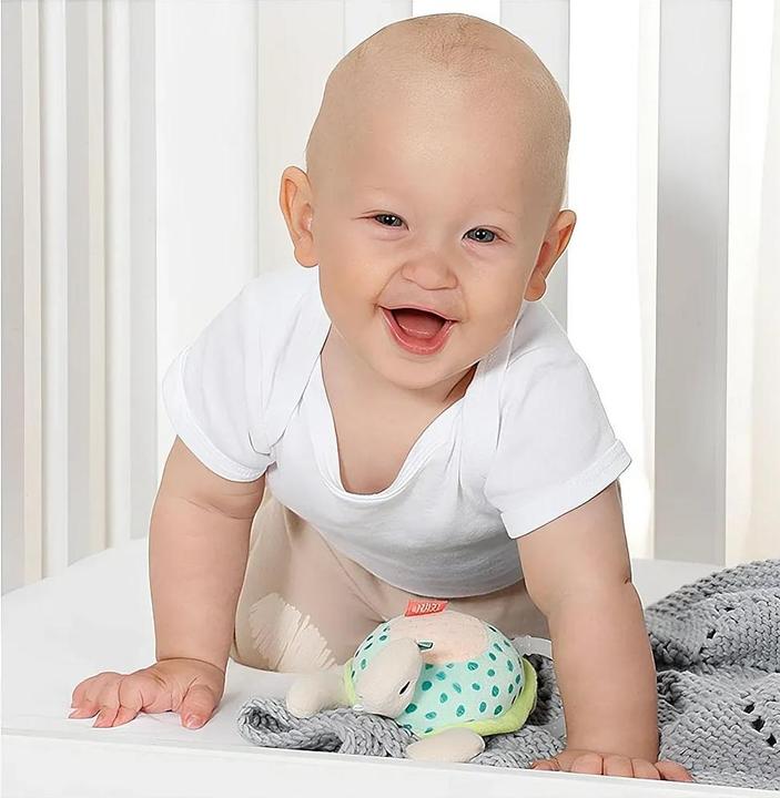 Produktbild Fehn Spieluhr Mini Schildkröte