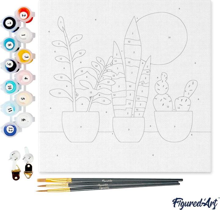 Immagine prodotto Figured'Art Mini Kit da Dipingere con i Numeri con Cornice - Succulente