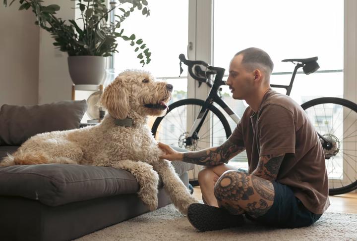 Produktbild Tractive DOG XL GPS Tracker für Hunde (Hund, Allgemein)