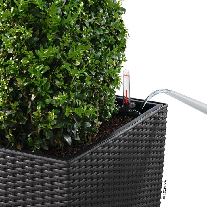 Image du produit Lechuza Cube Cottage (40 cm)