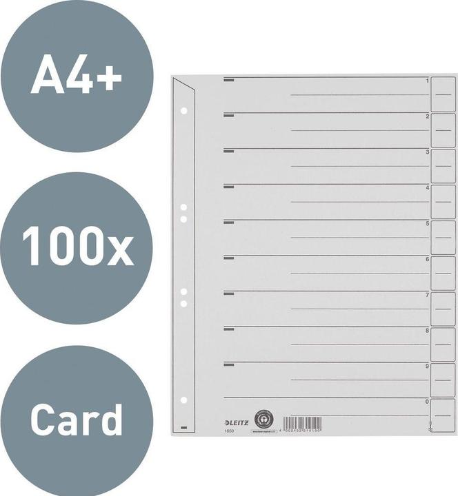 Actual product image Leitz Dividers, A4 extra width, kraft cardboard 200g/sqm, gray Blank tabs can be used in different