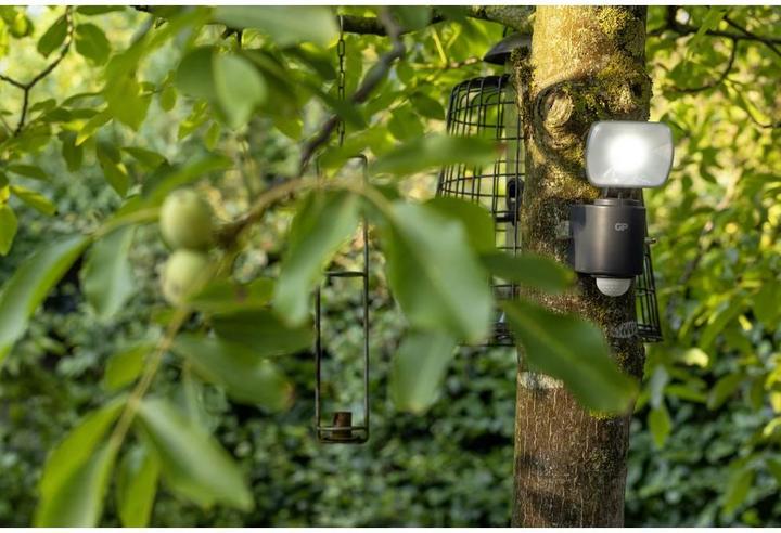 Produktbild GP Batteries Safeguard RF1.1 (60 lm, IP55)