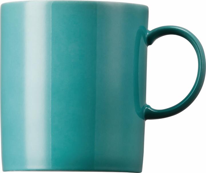 Actual product image Thomas 10850-408528-15505 (300 ml, 1x)