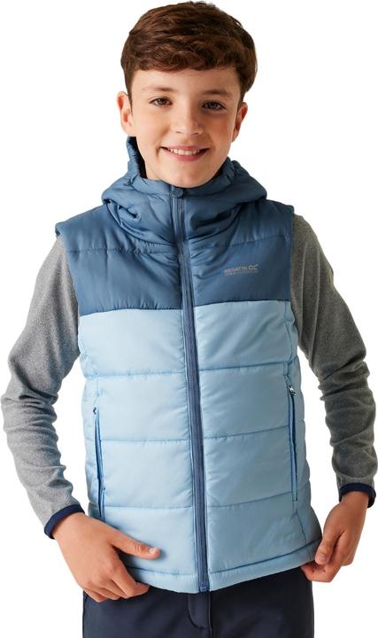 Produktbild Regatta Lofthouse II Weste (158)