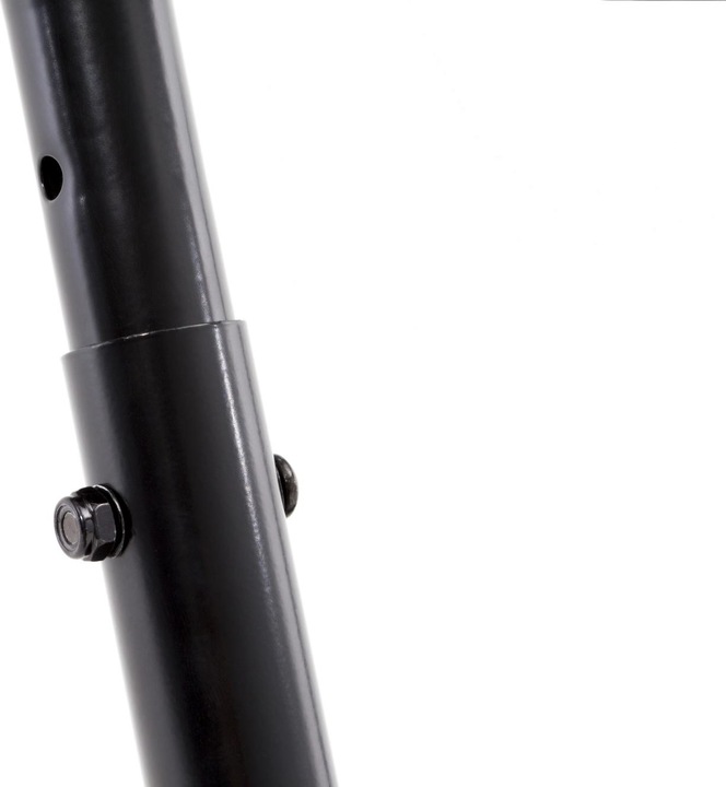Actual product image BERG Ladder M
