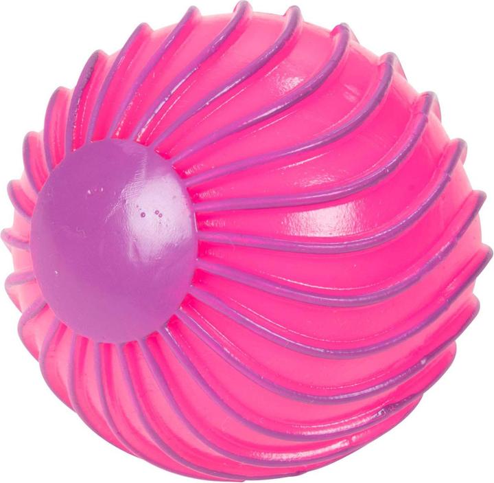 Produktbild Sensorischer Ridgeball