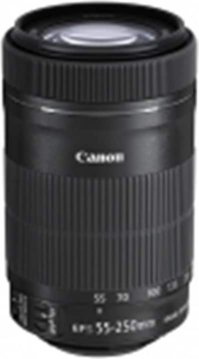 Canon EF-S 55-250mm f/4-5,6 IS STM (Canon EF-S, APS-C / DX)