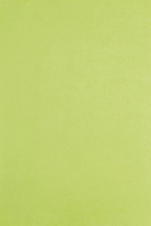 Actual product image Clairefontaine Professional offers (18 g/m², 2 x)