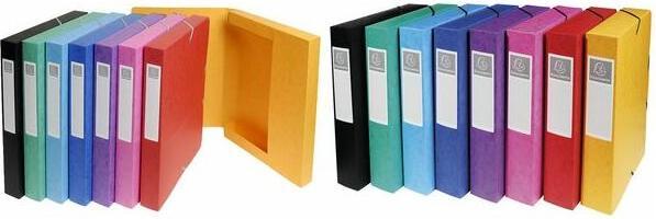 Actual product image Exacompta Archivbox (A4)