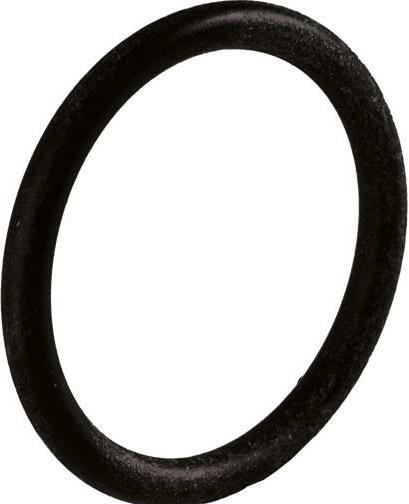 Kaiser O-Ring