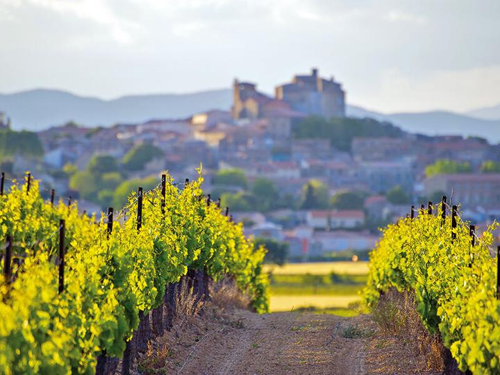 Actual product image Smartbox Wine tour in Europe (2 pers.)