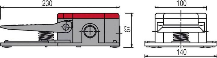 Immagine prodotto Pizzato Elettrica PA 20201-M2 Interruttore a pedale 250 V/AC 6 A 1 pedale 2 contatti NO, 2 O