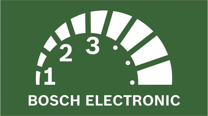 Produktbild Bosch Home & Garden EasyCut 12 (Akku Kettensäge)