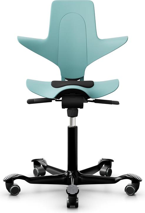 Produktbild HAG Capisco Puls 8010