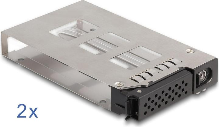 Actual product image Delock 47019 - Removable frame for 2x 2.5 U.2 NVMe SSD Slim Bay