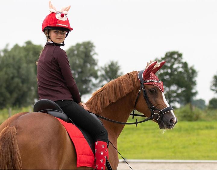 Produktbild Qhp überzug für reithelm elfe mädchen noël